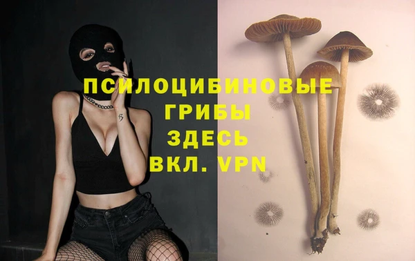скорость Абинск