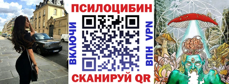 Галлюциногенные грибы Psilocybe Полярный