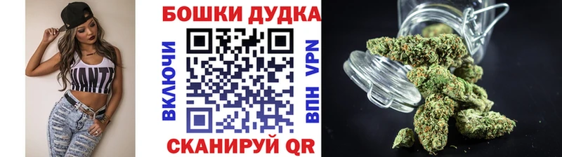 где найти   Полярный  Бошки Шишки Amnesia 